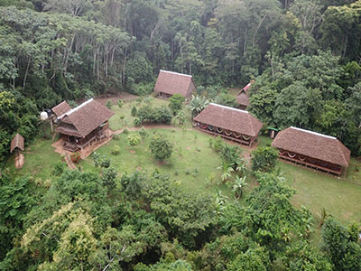 Tambopata Lodge Peru Amazon