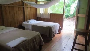 Rainforest Wild Peru 4 days