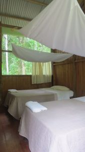 Rainforest Wild Peru 4 days