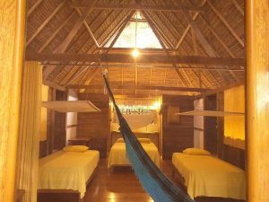 Rainforest Wild Peru 4 days