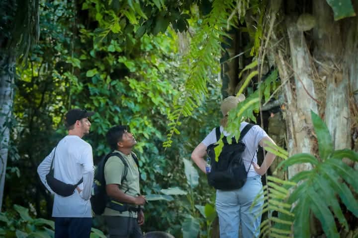 Amazon Trips Tambopata  4 days