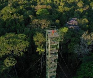 Expedition Amazon