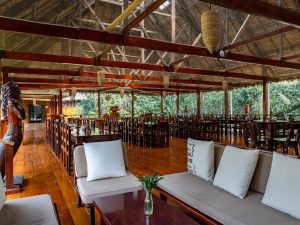 The Beautiful Wildlife Adventure