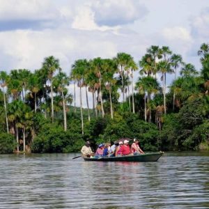 Rainforest Tours 2 days