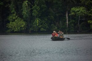 Visit the Peruvian Jungle 2 days