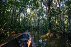 Visit the Peruvian Jungle 2 days