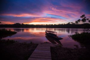 Visit the Peruvian Jungle 2 days