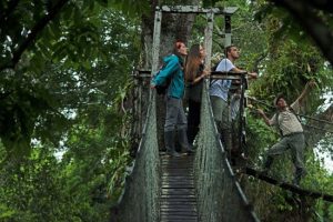 Visit the Peruvian Jungle 2 days