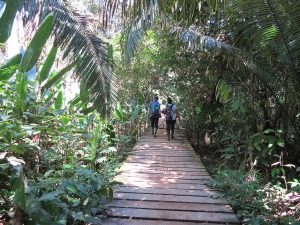 Tambopata Rainforest Sandoval Lake -5 Days