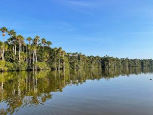 Visit the Peruvian Jungle 2 days