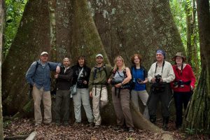 Visit the Peruvian Jungle 2 days