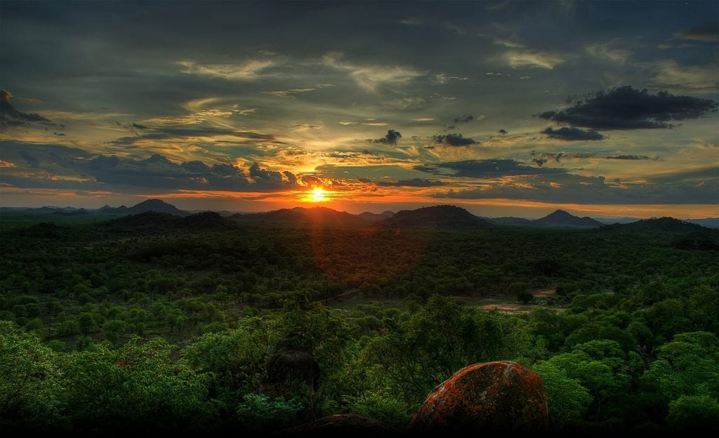 Tour Expedition Macaw Clay Lick Full Day