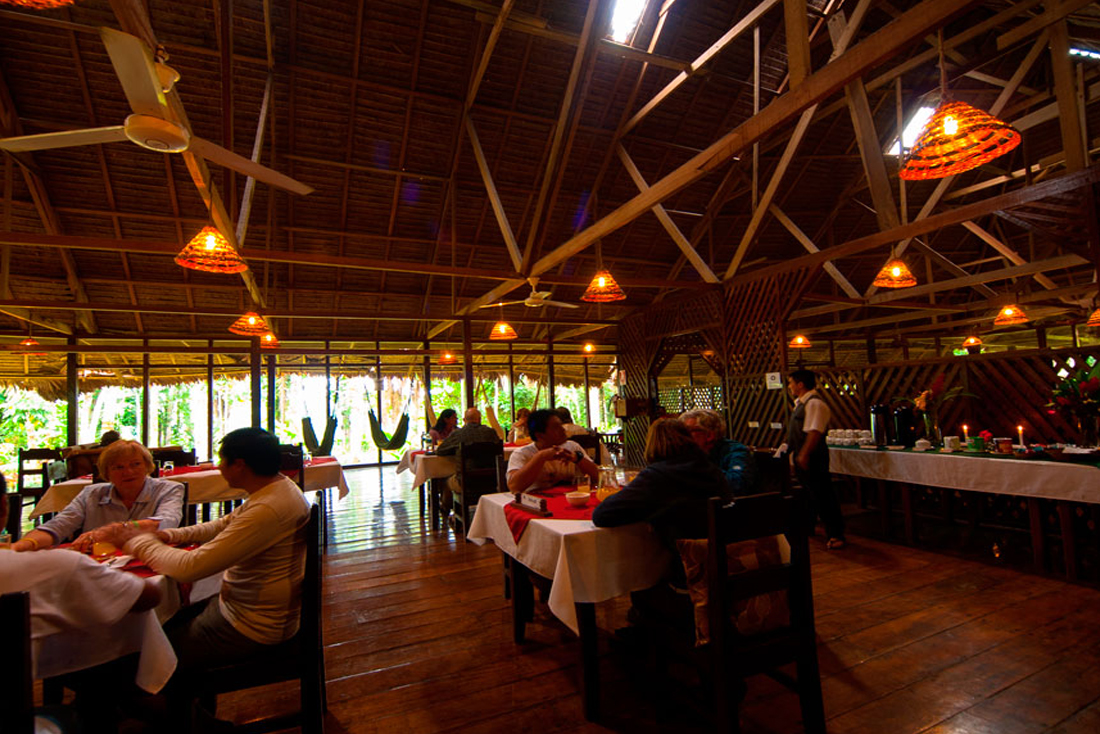 Rainforest Tours 2 days