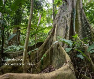 Explora la Selva Amazonica