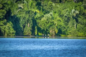 Tour al Sandoval Lake Lodge