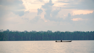 Explora la Selva Amazonica