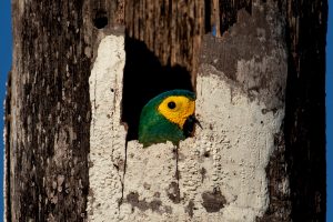 Tour Amazonas Peru - 5 dias