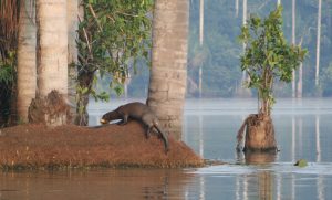 Tour en Amazonas Peru