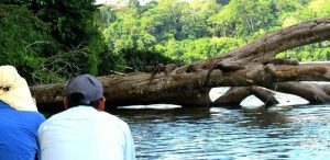Tour en Amazonas Peru