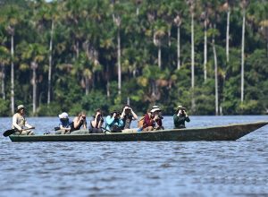 Explora la Selva Amazonica