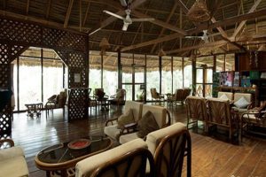 https://www.tambopatalodge.net/luxury-amazon-rainforest-tours-4-days/