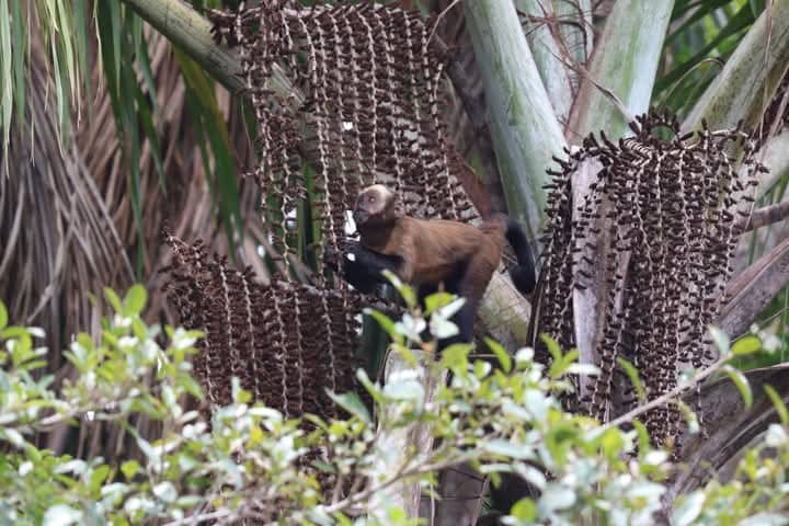 2 Day Peruvian Amazon Tour