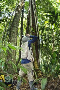 Bird Watching Photography In The Amazon