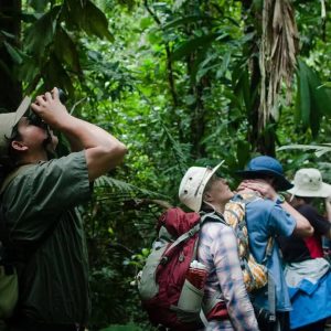 Un Tour Selva Peruana