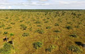 Centro Vida Silvestre Pampas del Heath 6 Dias