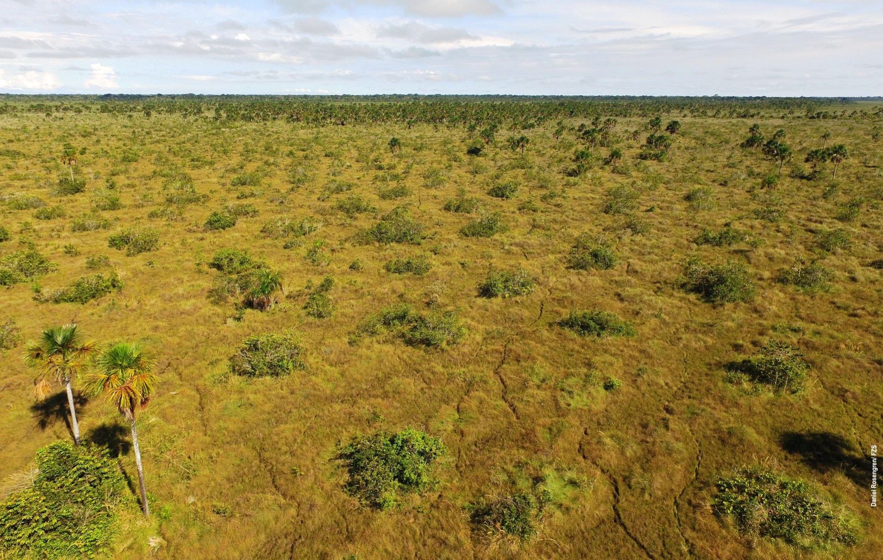 Centro Vida Silvestre Pampas del Heath 6 Dias