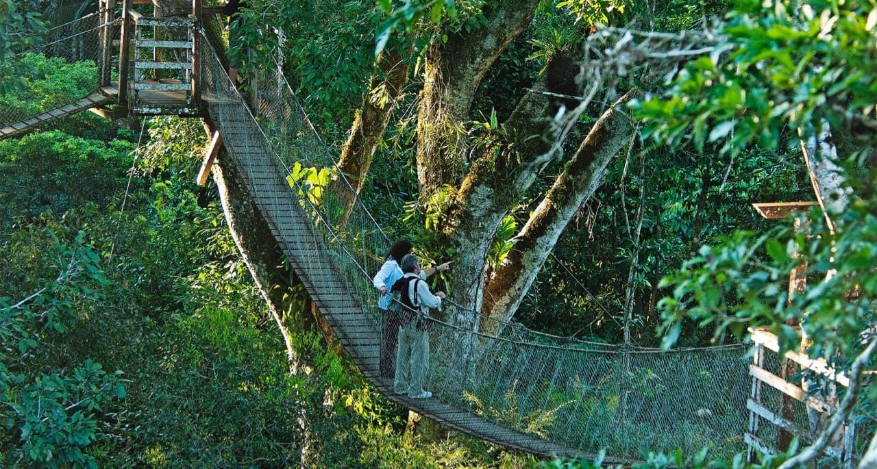 Un Tour Selva Peruana 3 dias