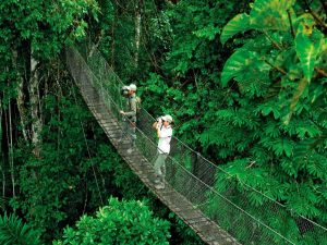 Best Amazon Adventure Expedition 4 days