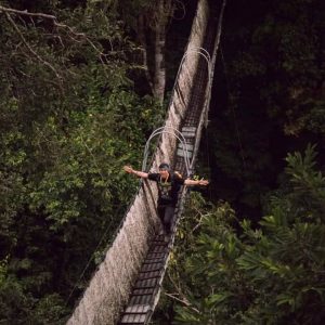 Expediciones en la Amazonia