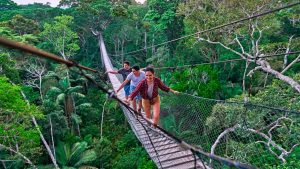 Expediciones en la Amazonia