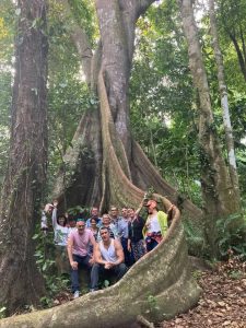 Travel in the Amazon