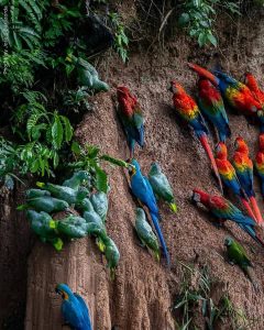 Best Amazon Adventure Expedition