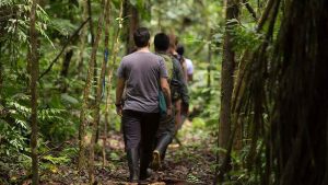 Bird Watching Photography In The Amazon