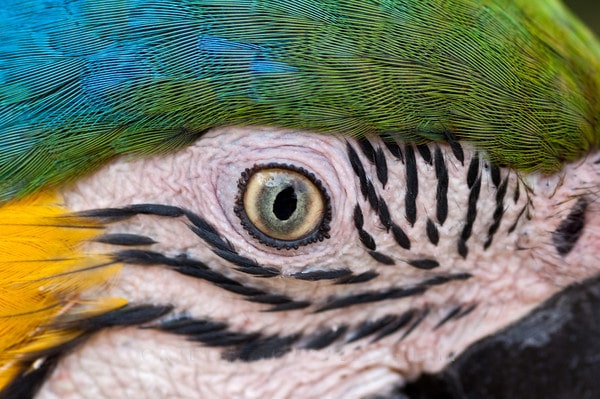 In Amazon Photography Tour 6 days