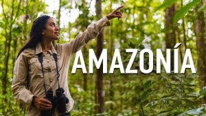 Bird Watching Photography In The Amazon