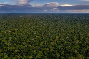 La Selva Peruana