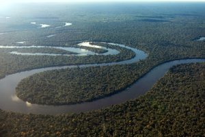 Bird Watching Photography In The Amazon