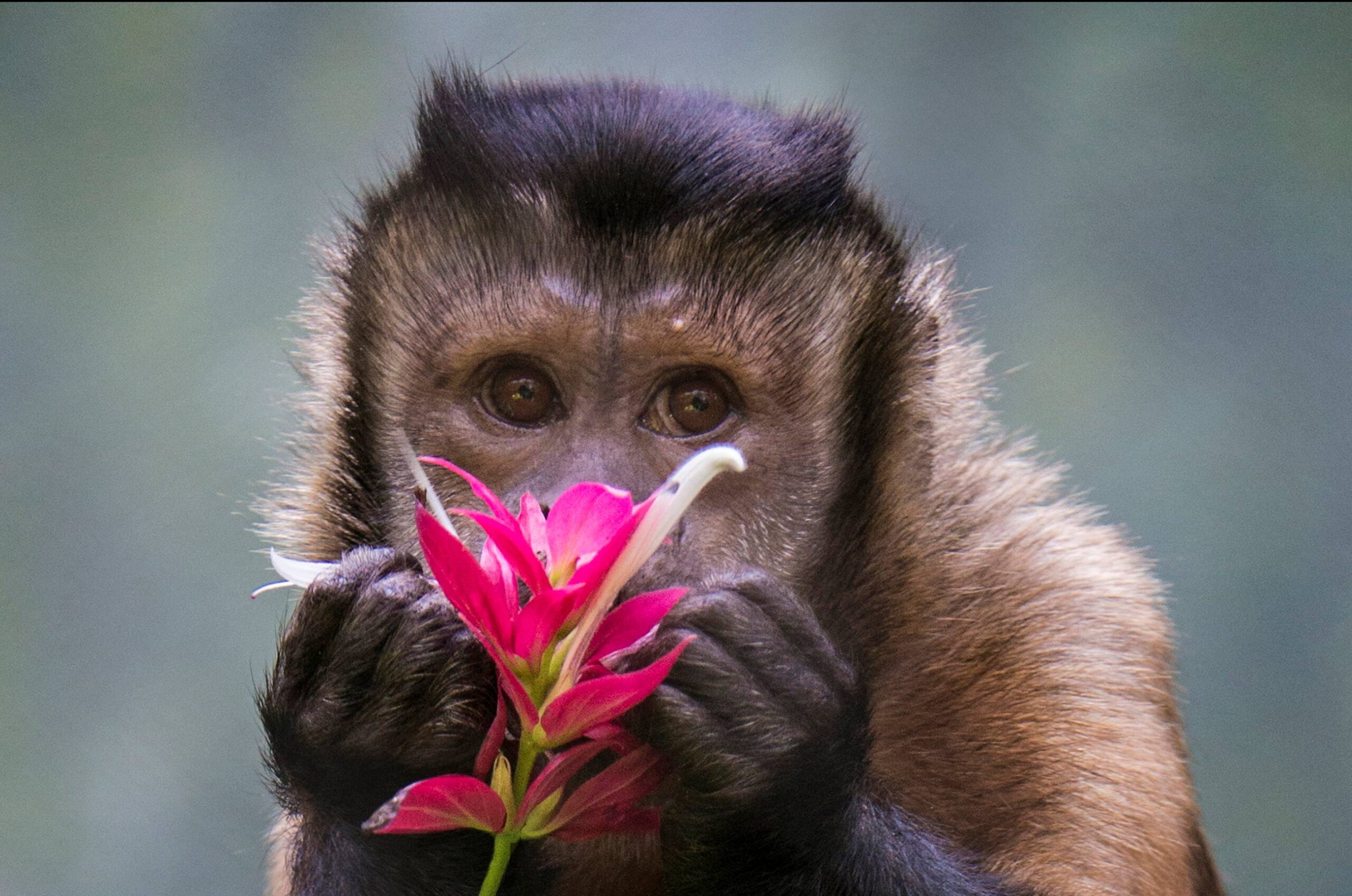 2 Day Peruvian Amazon Tour