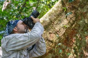 Bird Watching Photography In The Amazon