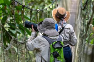Observacion de Aves Fotografia