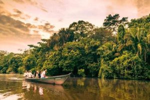 Itinerario Tambopata Rainforest Sandovallake 4 dias