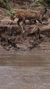 Tambopata Buffer Zone Reserve