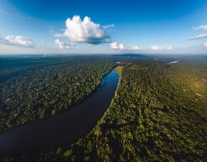 Tambopata Natural Reserve Amazon Jungle