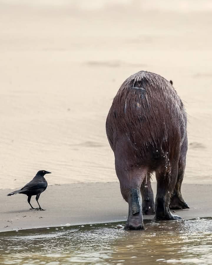 The Best Wildlife Photography Birdwaching  4 day