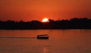 The Spectacular Peruvian Amazon