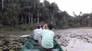 Tour en Amazonas Rainforest 2 dias